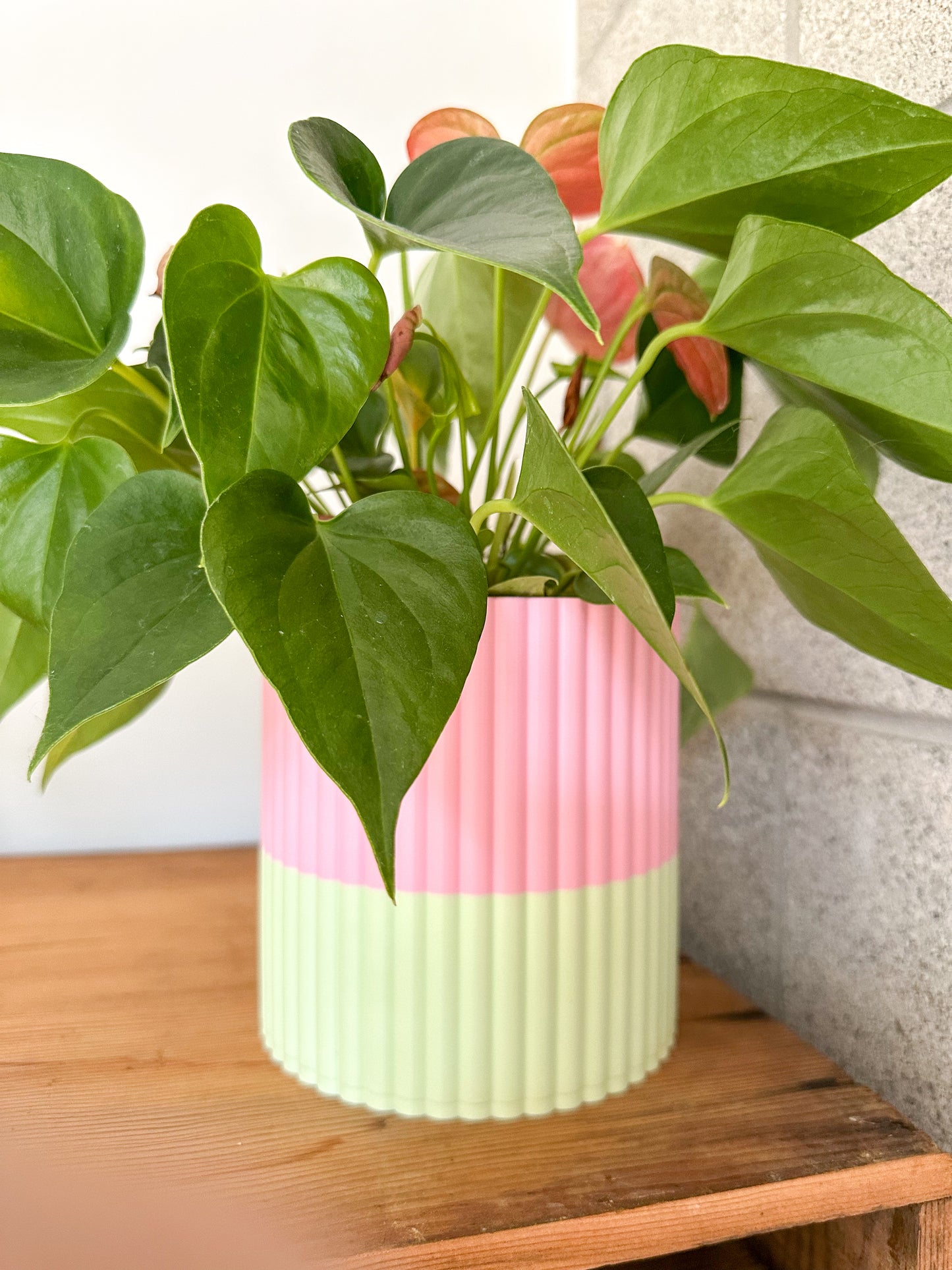 The Izzy Pot- Medium