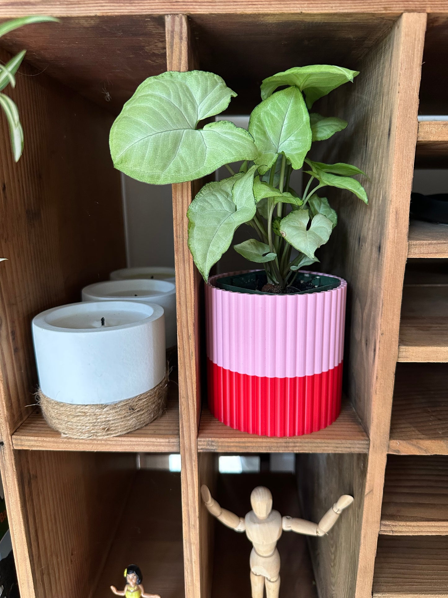 The Izzy Pot- Medium
