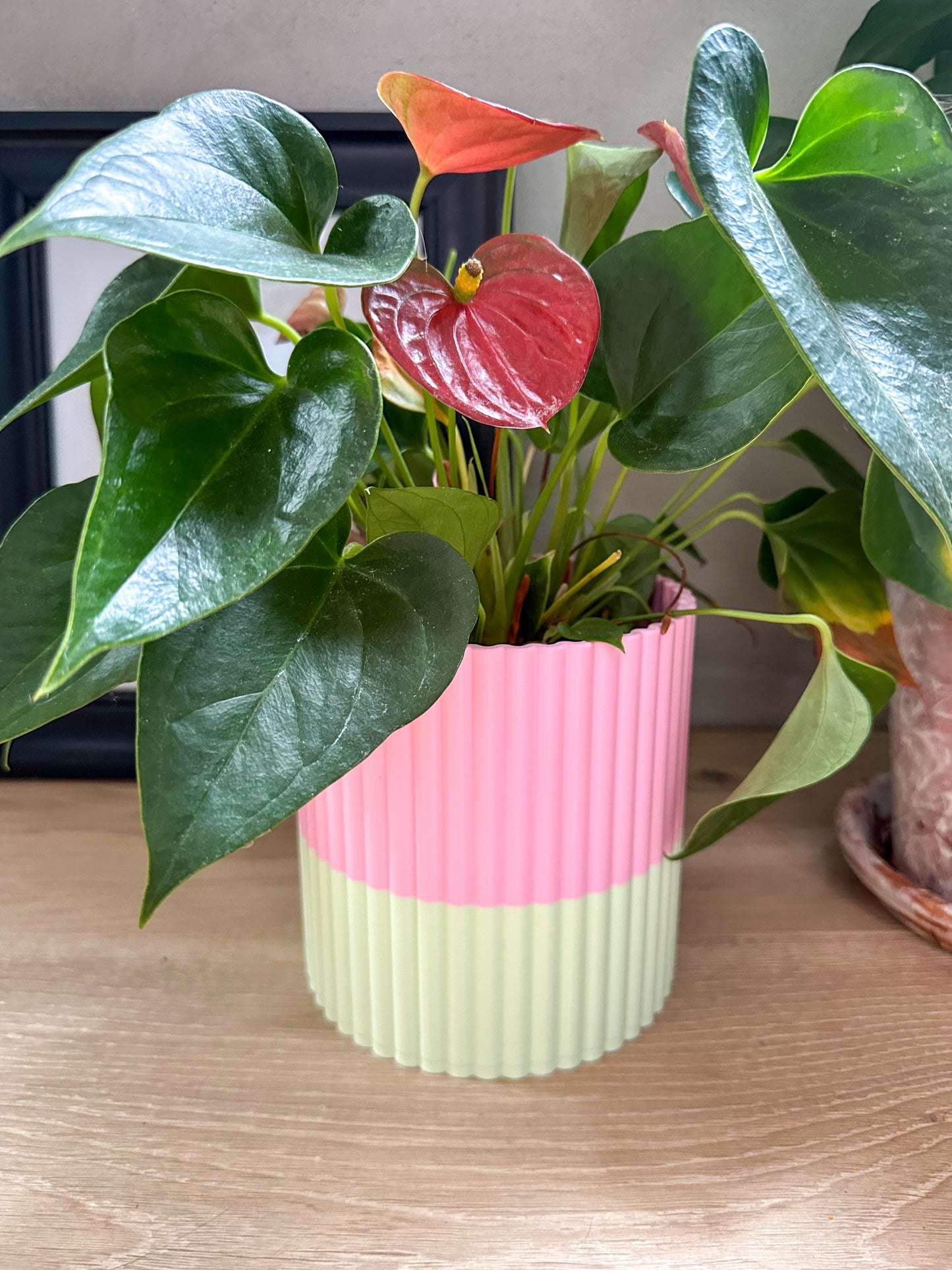 The Izzy Pot - Small