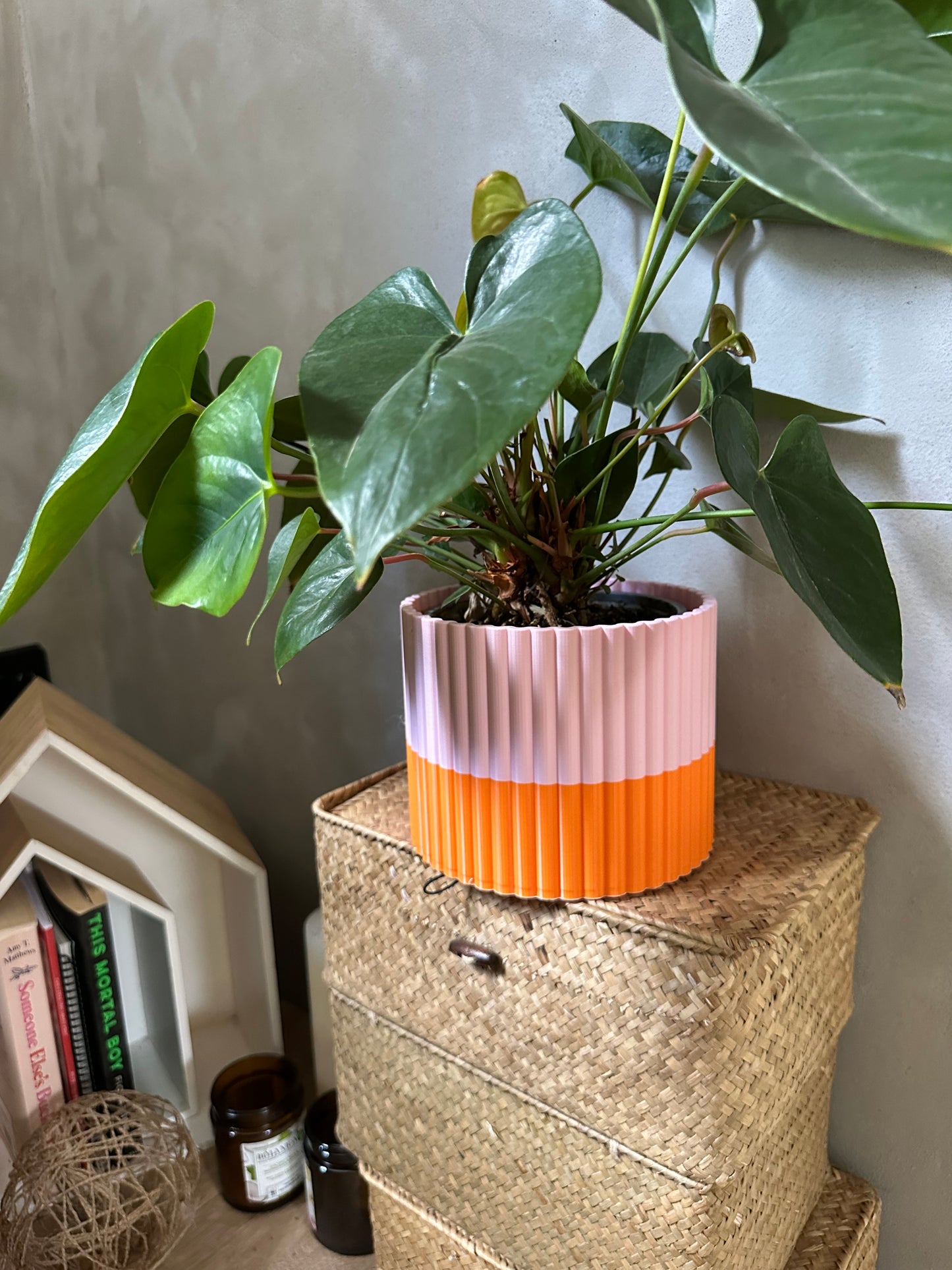 The Izzy Pot- Medium