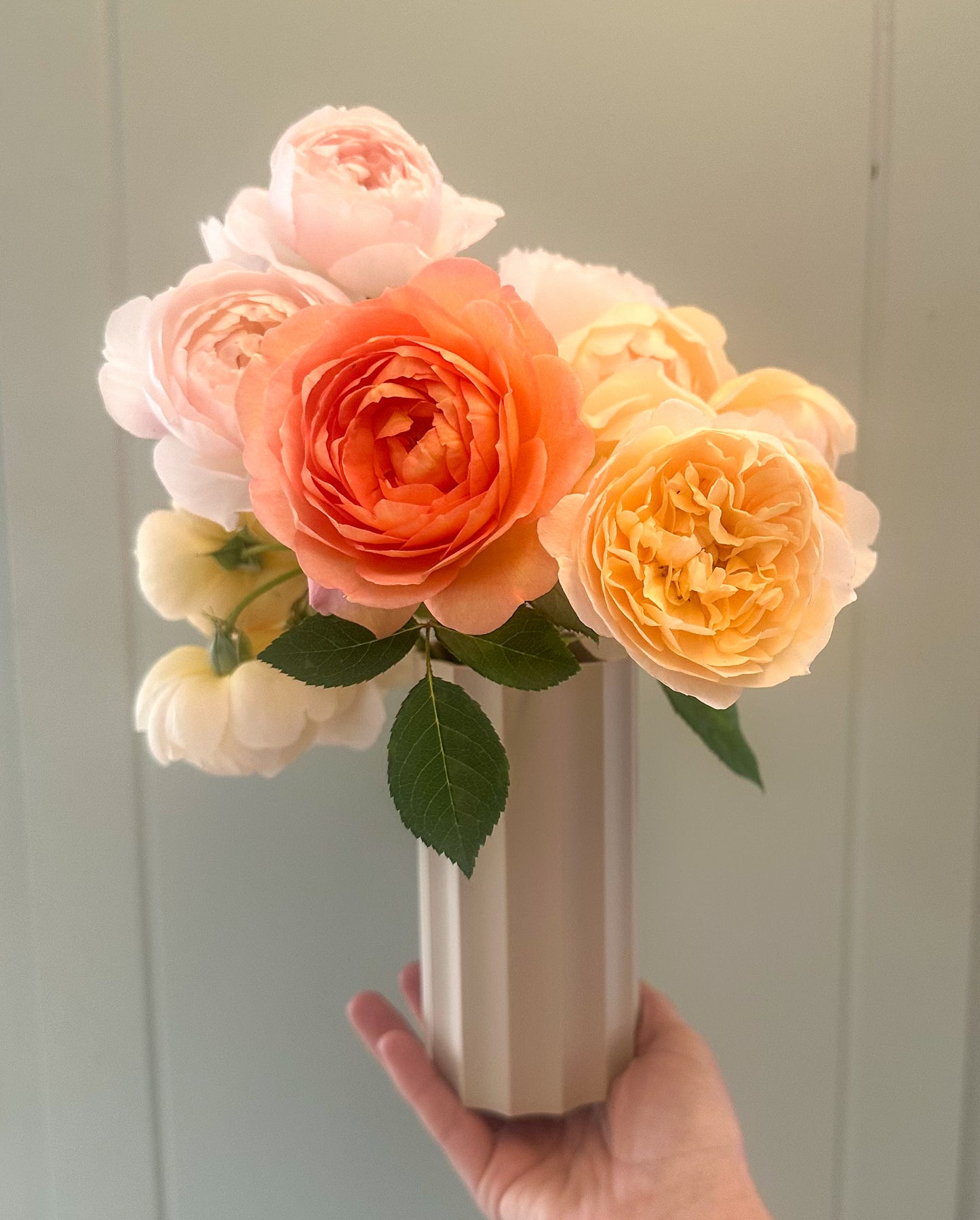 The Millie vase