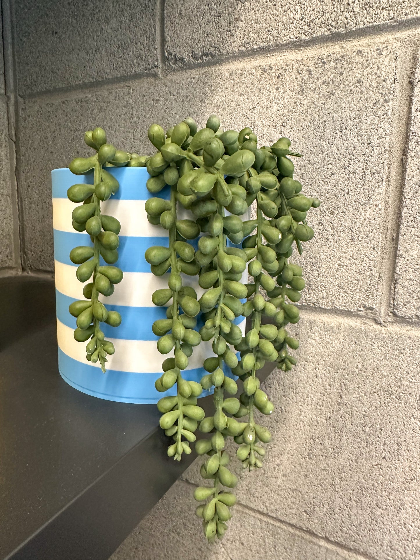 The Sadie Pot