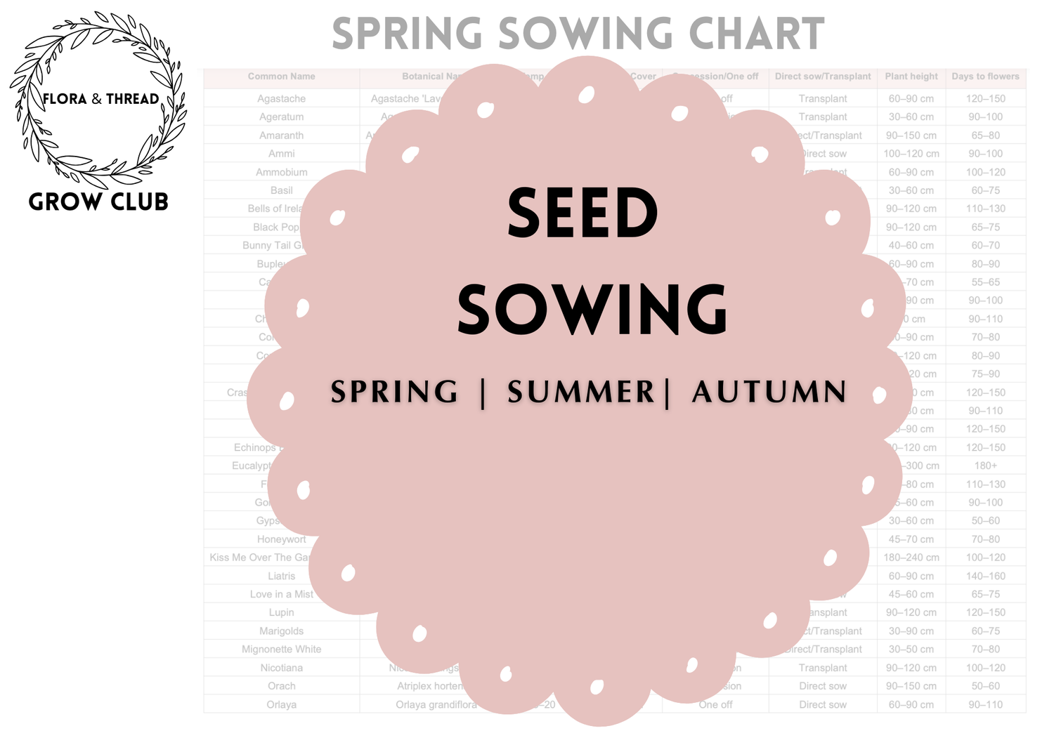 Seed sowing guide - DIGITAL FILE