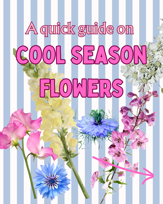 FREE - Cool season flowers- quick digital guide