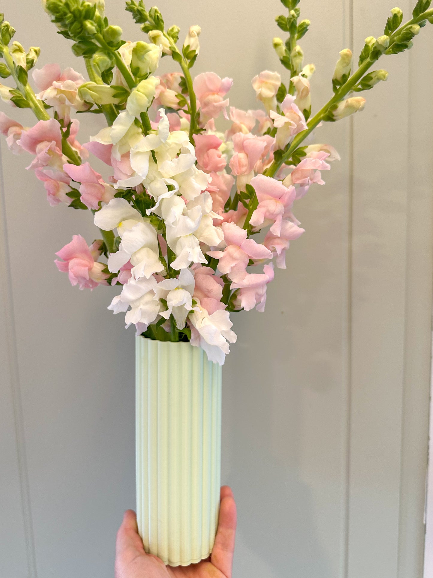The Lottie Vase